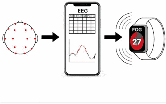 Diagram showing EEG input flowing to a phone app and wearable haptic feedback device.